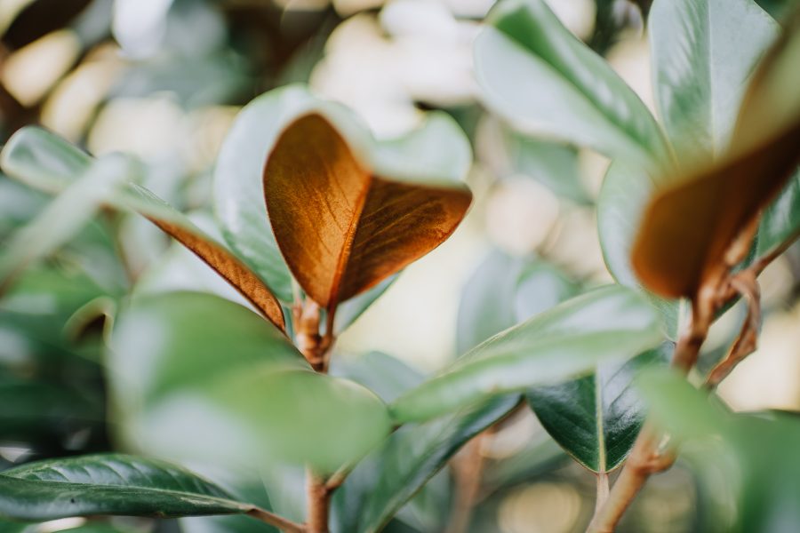 赫斯基森项目  GNK景观设计公司（这里GNK为特定名称，若无更多背景难以更精准翻译，推测一般为专业领域的公司名称，Landscapes可理解为景观设计公司等相关含义） -47
