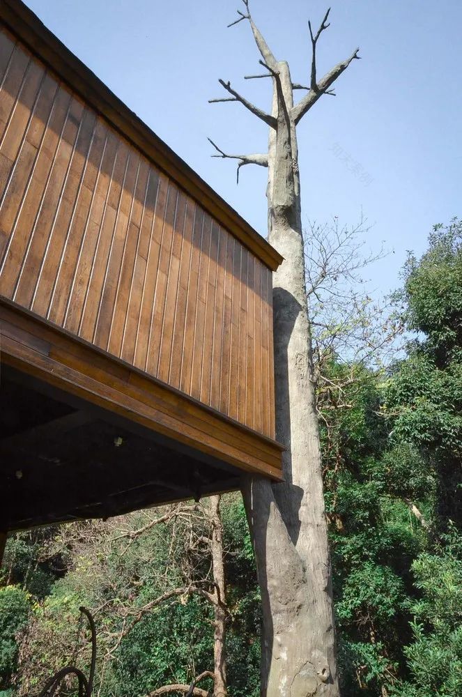 杭州森博度假村树屋丨中国杭州-26