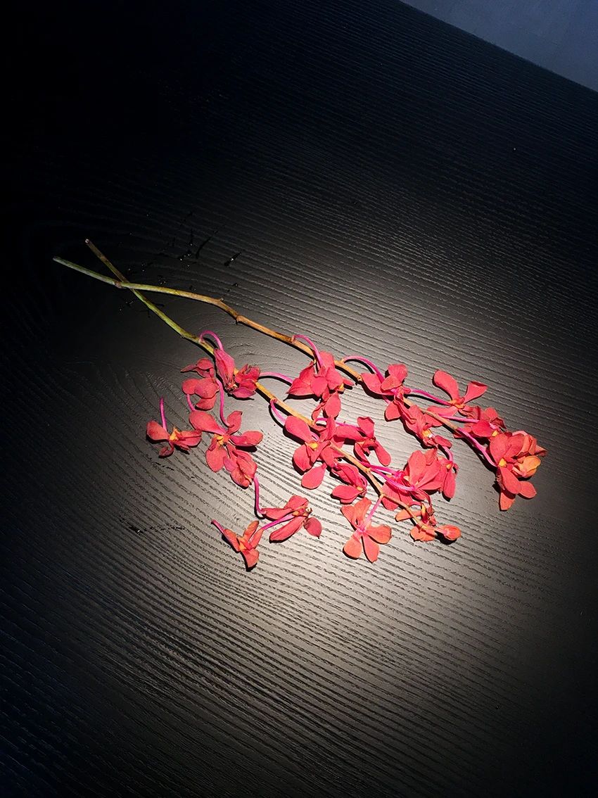 建筑师的自然之所丨中国苏州丨VIMALA DESIGN（无尘建筑设计）-37