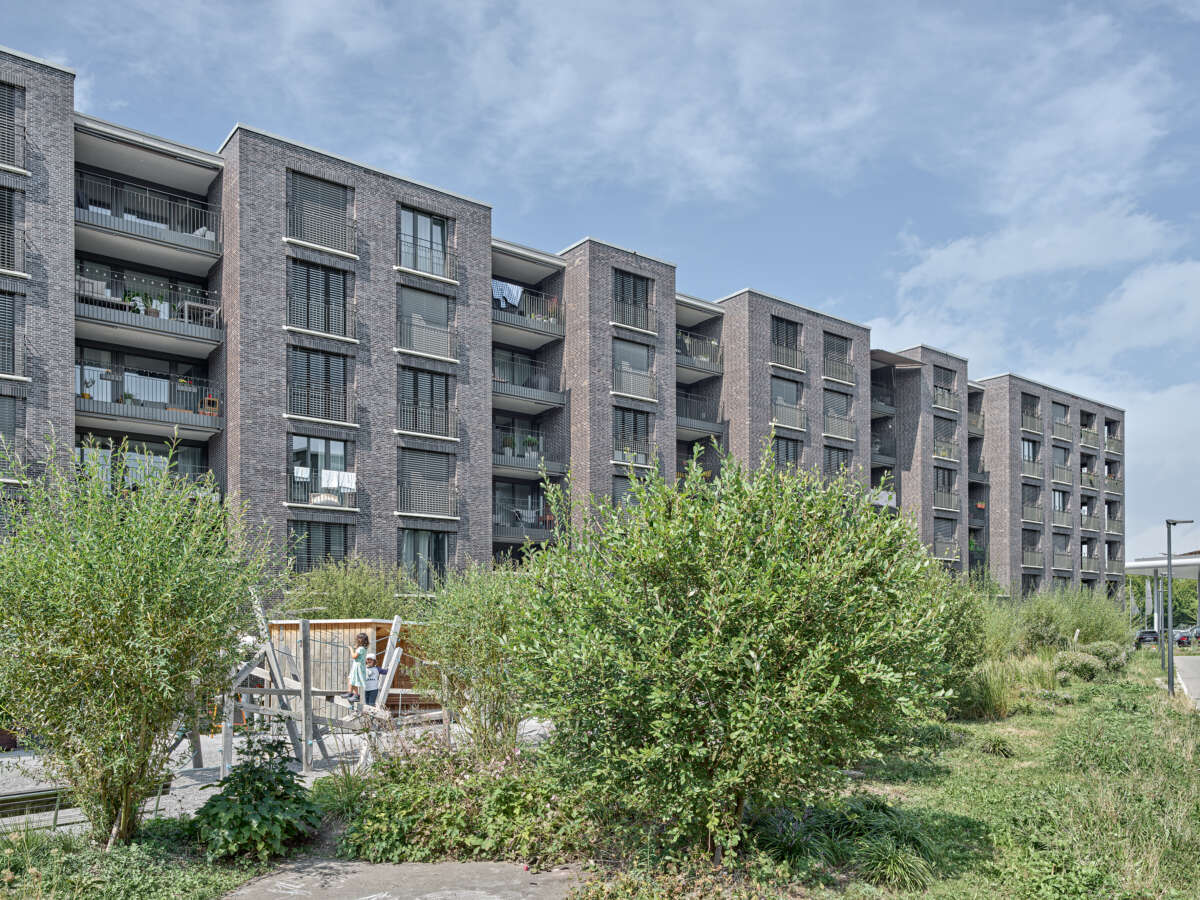 «Libellenhof» Areal Dietlimoos-Moos (Baufeld B1), Adliswil — Züst Gübeli Gambetti-7