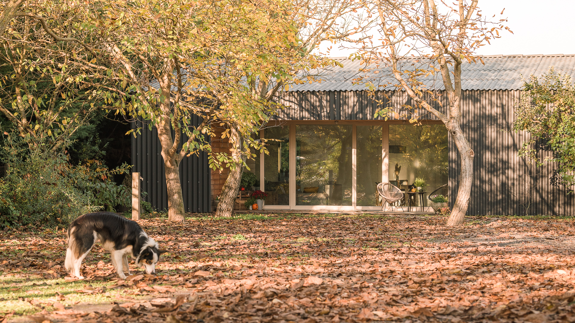 黑瓦屋 · 简约和谐的自建房设计丨匈牙利丨Balogh Csaba 等-39