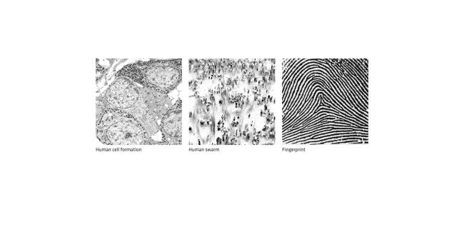 法国蒙彼利埃人体博物馆丨BIG建筑事务所-72
