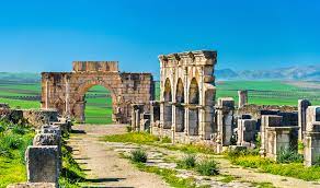 Volubilis as you have never seen it-2