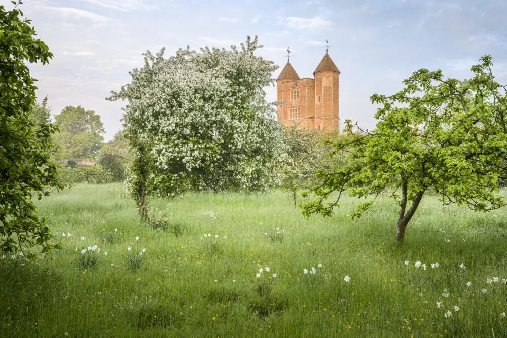 一个设计，一个栽种，夫妻协力打造的复古花园-52