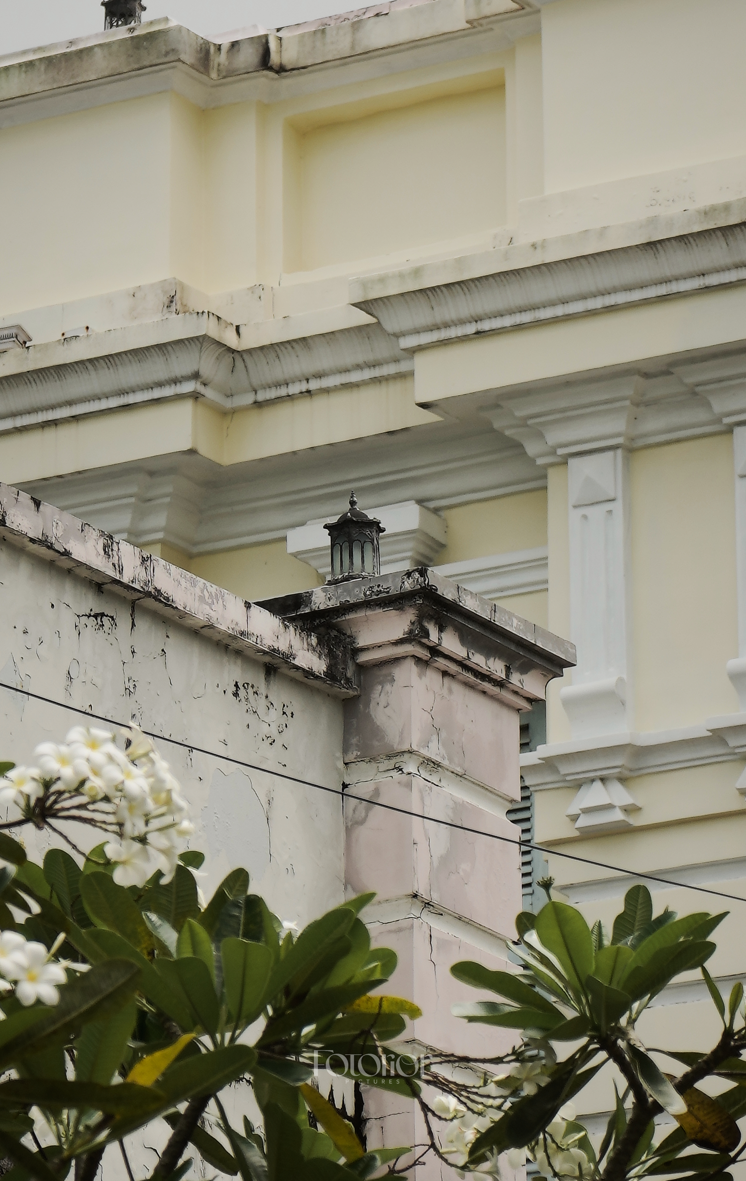 Nhà cổ Bạc Liêu-3