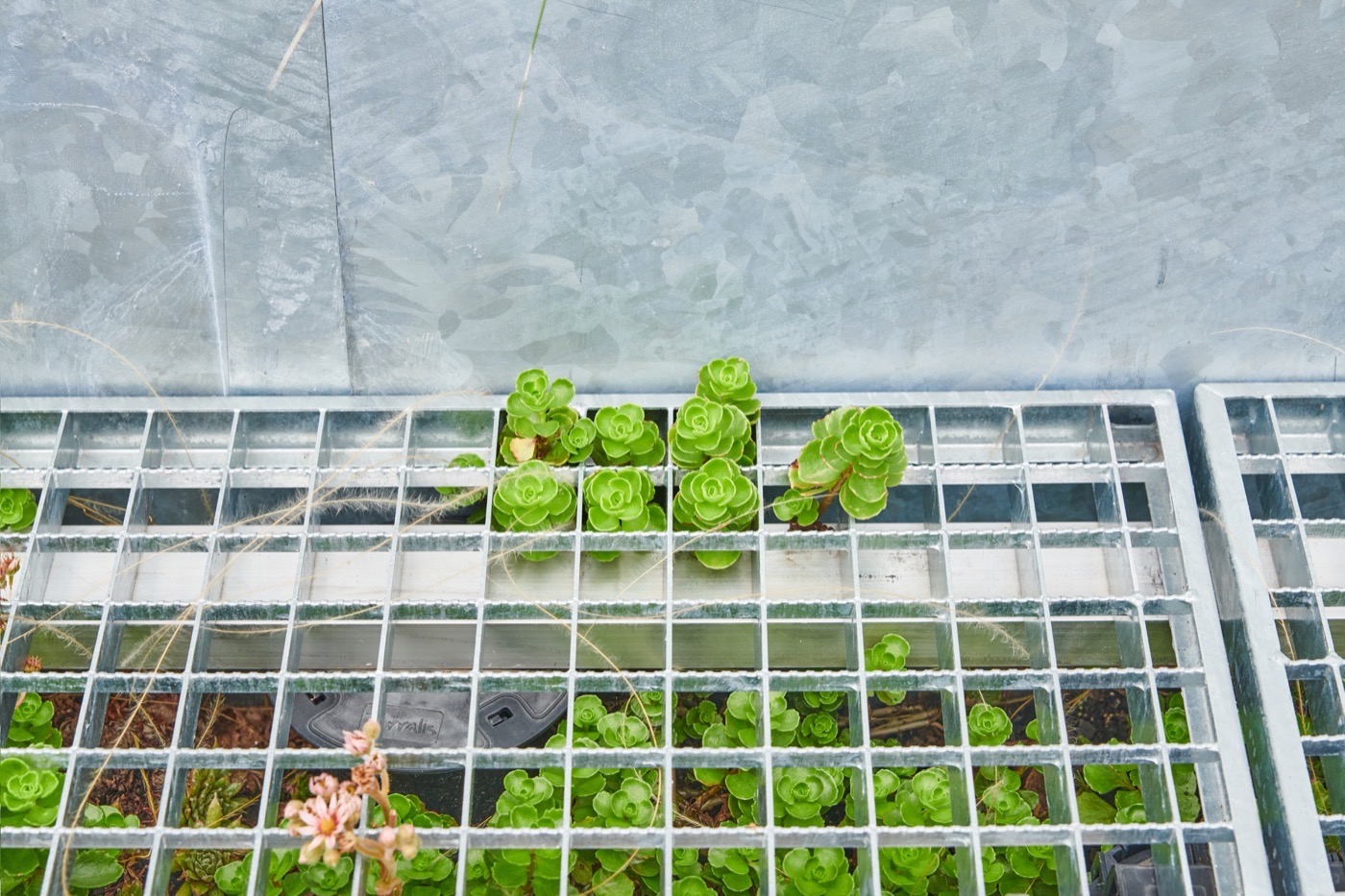 柏林 Kreuzberg 商业庭院与屋顶露台丨德国柏林丨Thomas Hillig Architekten-26