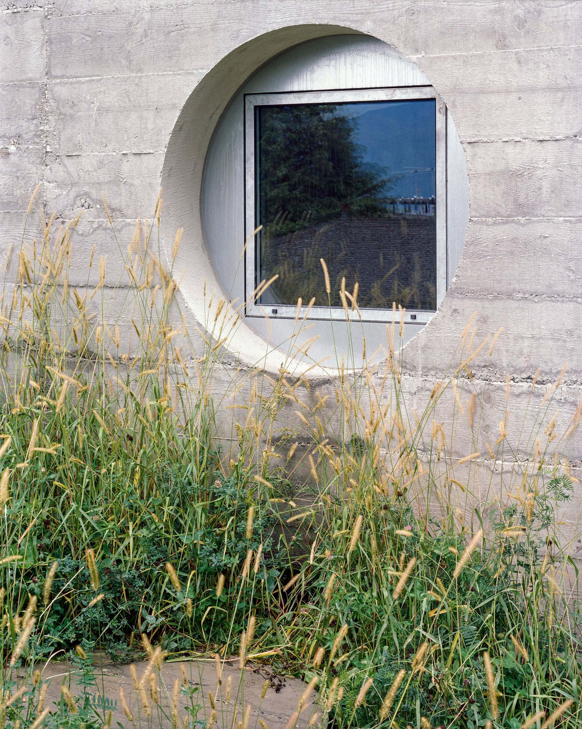 葡萄园中的房子丨瑞士-15