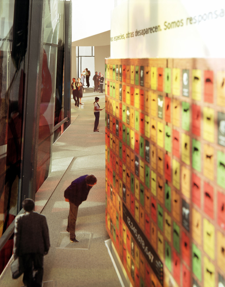 In Progress The Biomuseo  Frank Gehry-49