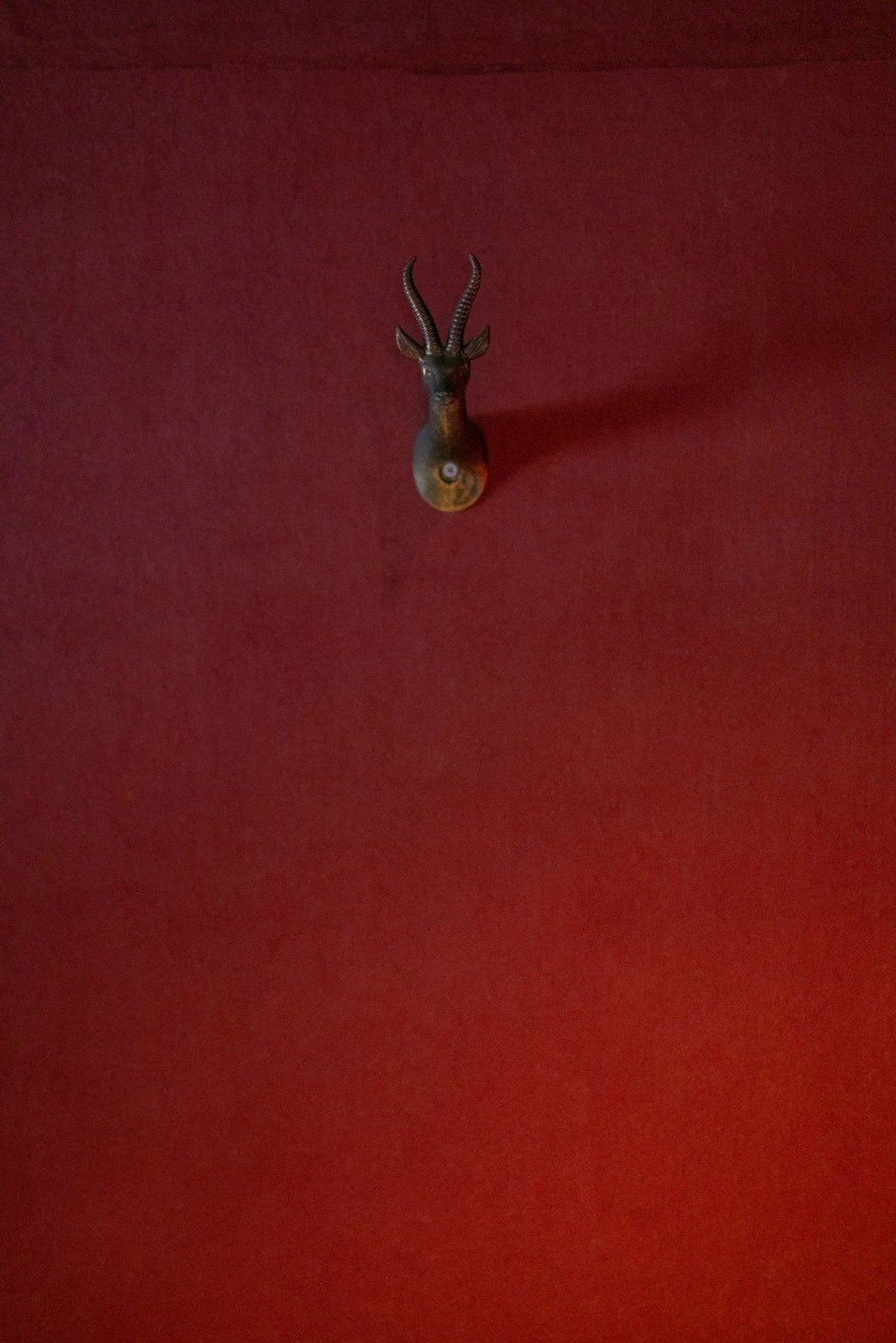 代官山车站画廊丨日本东京丨Koyori Architects-176