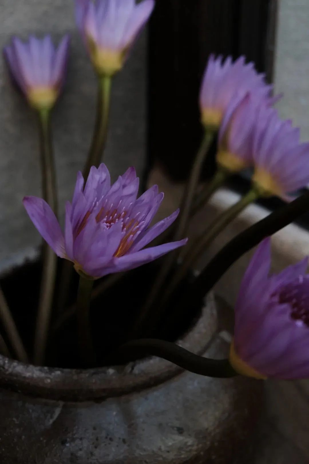 汉唐驿 · 茶饮,私厨,旅宿的五星级享受-5