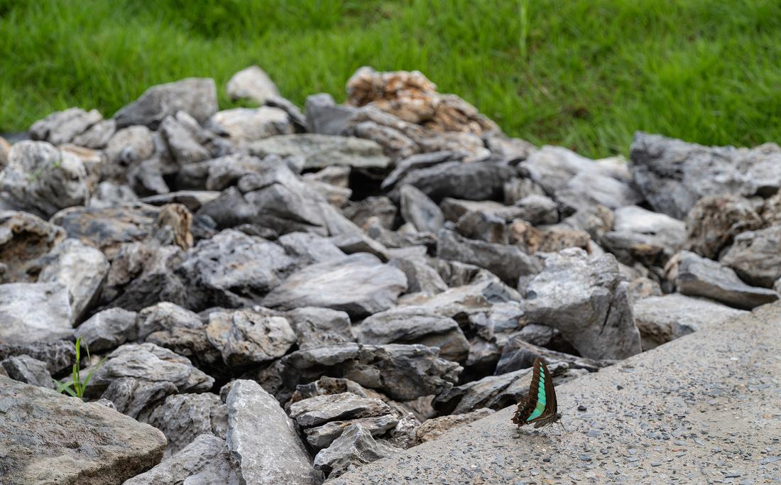 野回 WILDBACK丨中国杭州丨皮爱纪设计 PIG DESIGN-41