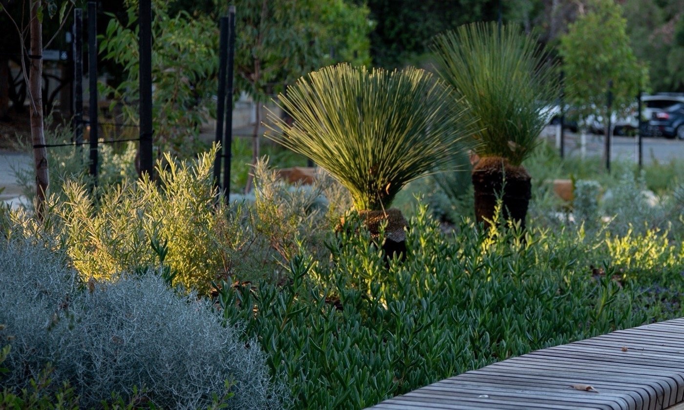 澳大利亚 Bilya Marlee 土著研究学院丨UDLA-30