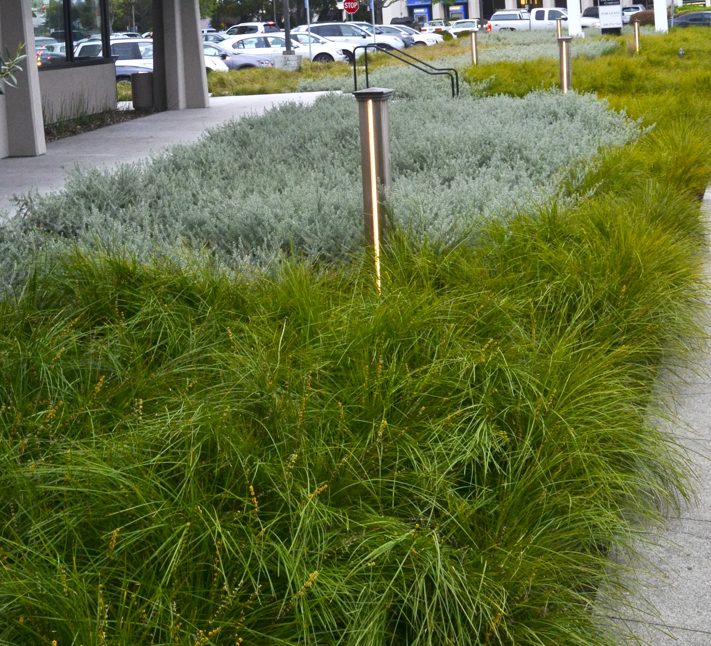 JACKS RESTAURANT — Studio Green-3