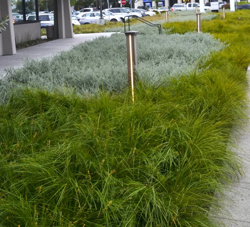 JACKS RESTAURANT — Studio Green-3