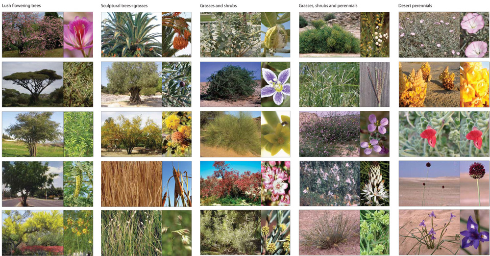 卡塔尔基金会总部·绿色生态的空中花园-4