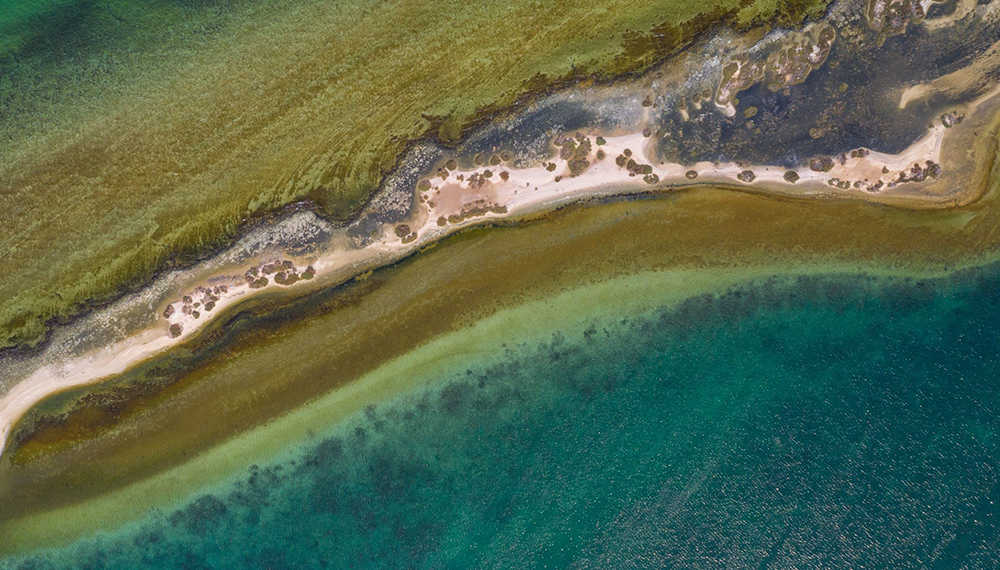 丨沙特阿拉伯-51