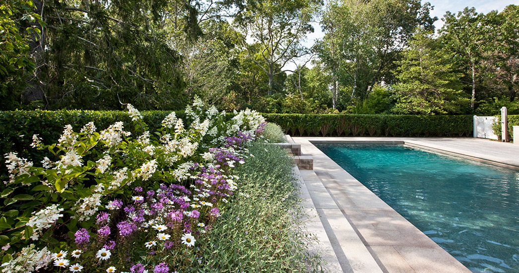 奥斯特维尔牡蛎港景观改造项目丨美国-4