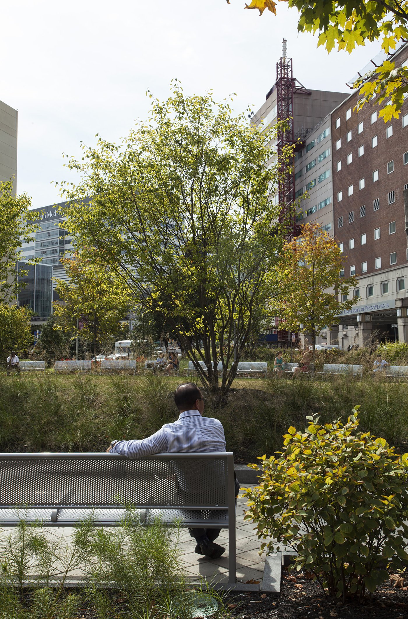 University of Pennsylvania Edward W. Kane Park -7