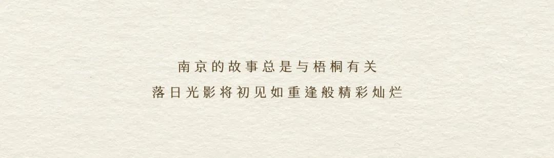 润珹中心 · 润玺 营销中心丨中国南京丨景观笛东,建筑上海天华-11