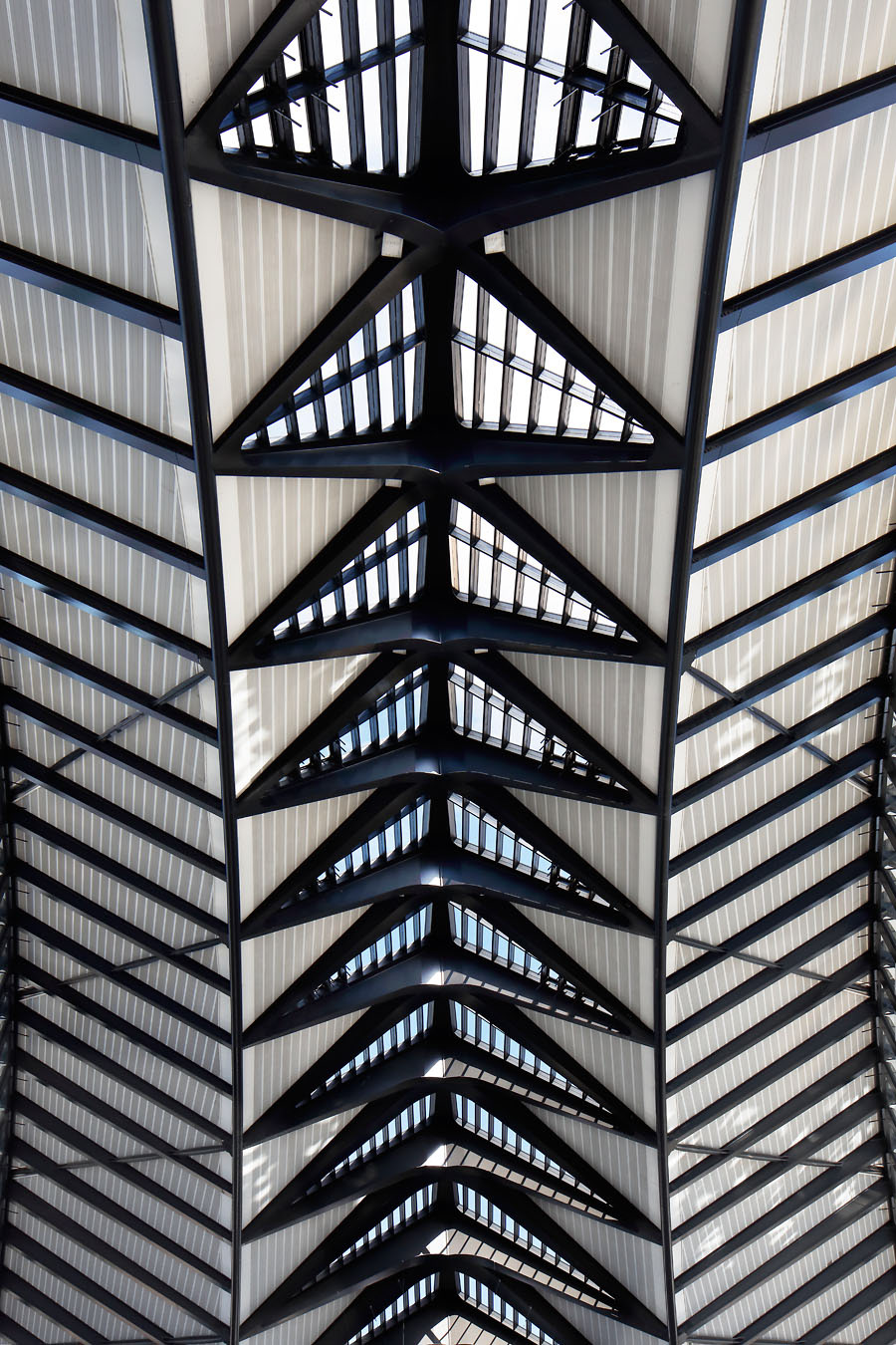 圣埃克苏佩里站丨法国里昂丨Santiago Calatrava-22