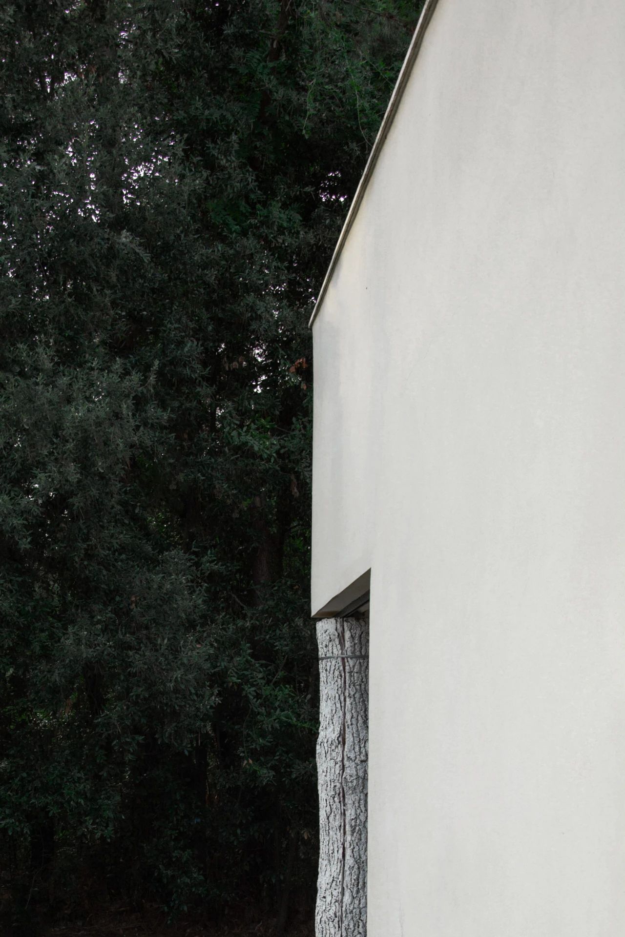 亭子丨澳大利亚丨Wolveridge Architects-62