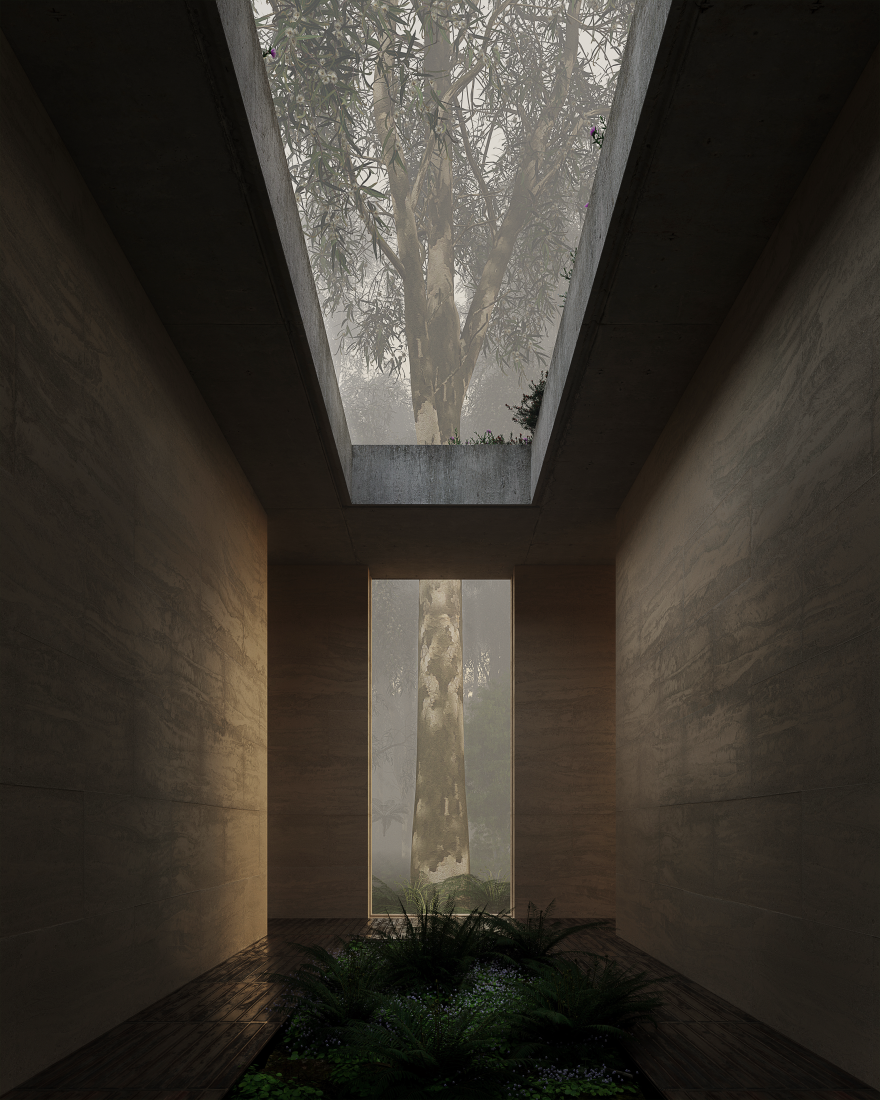 努吉宅邸丨CanadaVictoria丨Arnephy-6