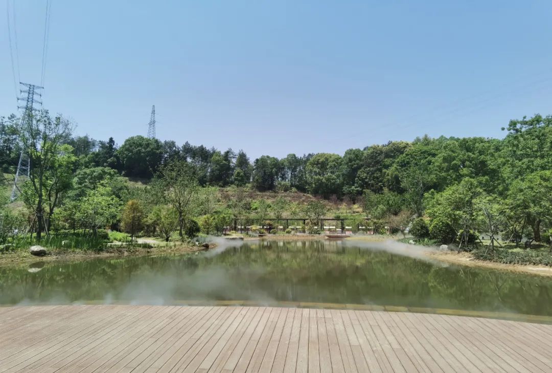 华东药用植物园丨中国丽水丨上海市园林设计研究总院-21