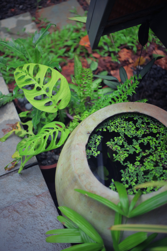 印度喀拉拉邦 46 平米家庭工作室-51