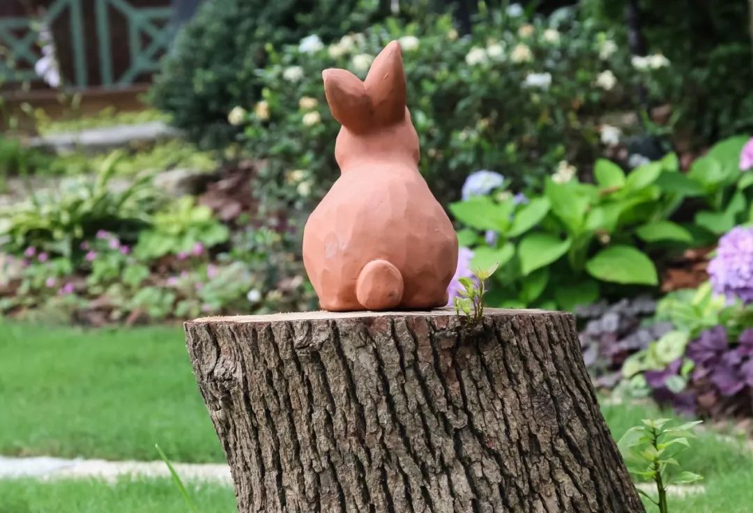 佘山自然梦花园 | 四季美景与家人相伴-81