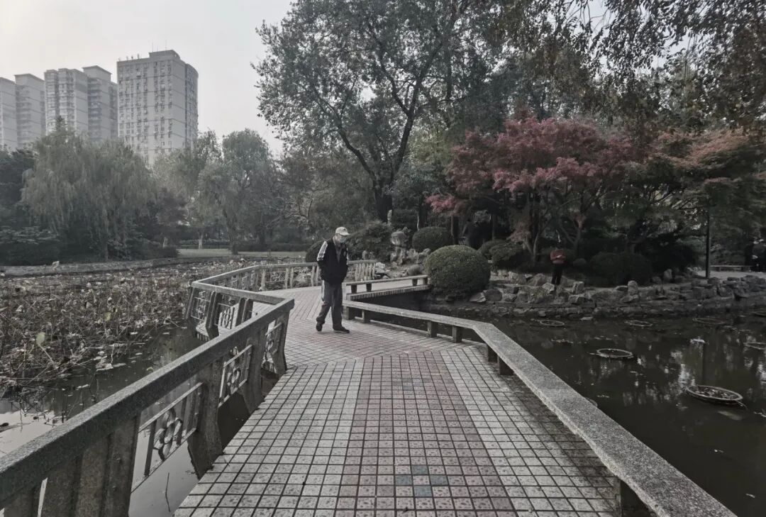 中国园林·理事专栏|“拓”之力量：杨浦公园改造纪实(三)-140