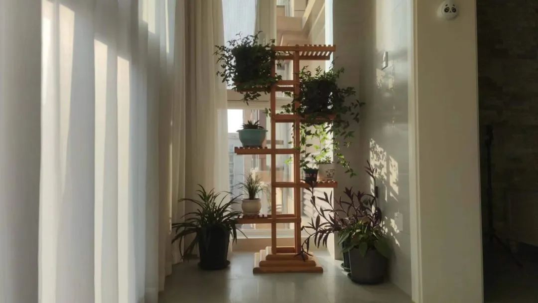 现代混搭私宅丨中国洛阳丨庆设计机构-65