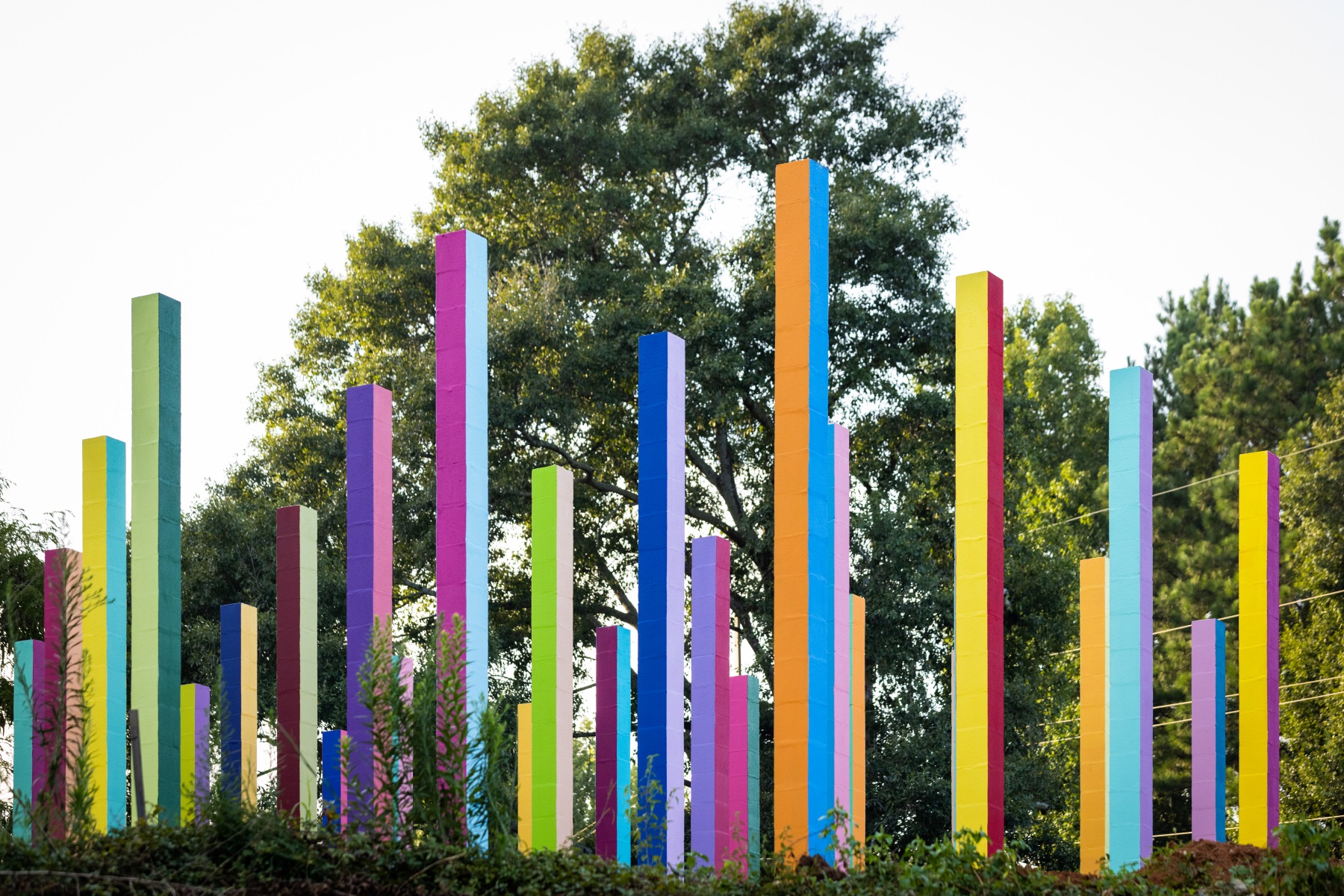 彩虹森林丨美国丨Office Kovacs-26