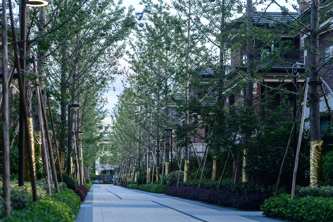 水韵乌镇，寻忆生活本来的样子——龙湖·天宸原著-73