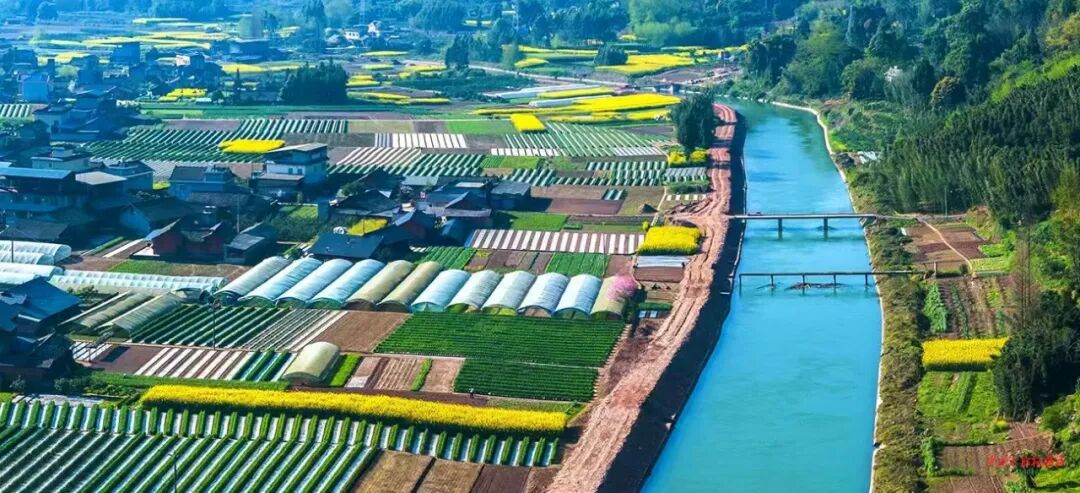 全域灌渠新面貌，中建八局这个项目为春耕送来“及时雨”-30