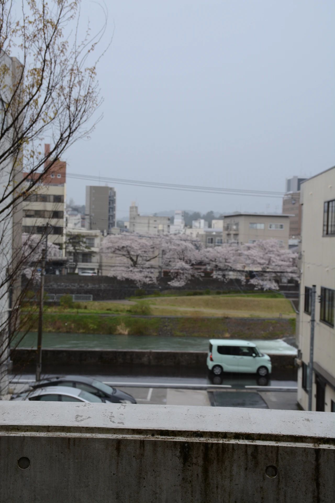 谷口吉郎·吉生纪念 金泽建筑馆丨日本丨谷口吉生-57