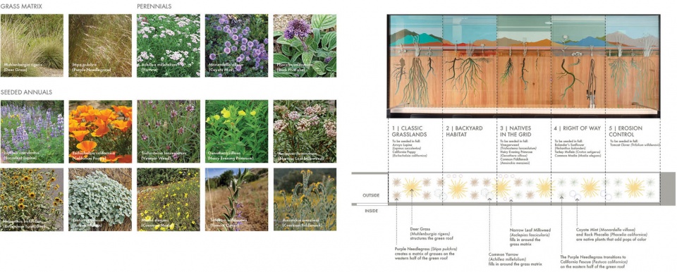 种子银行 | 活体墙的新方法,美国加州 / Miridae-60