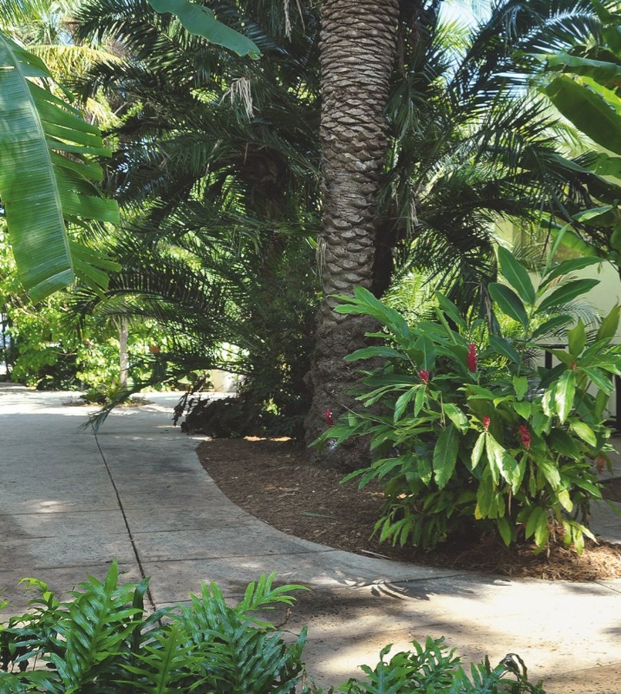 迈阿密南海滩气候适应公共空间设计丨美国迈阿密-7