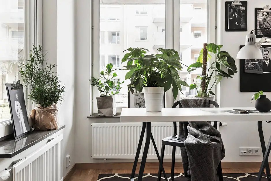 巧妙改造！衣架变客厅照片展示架-16