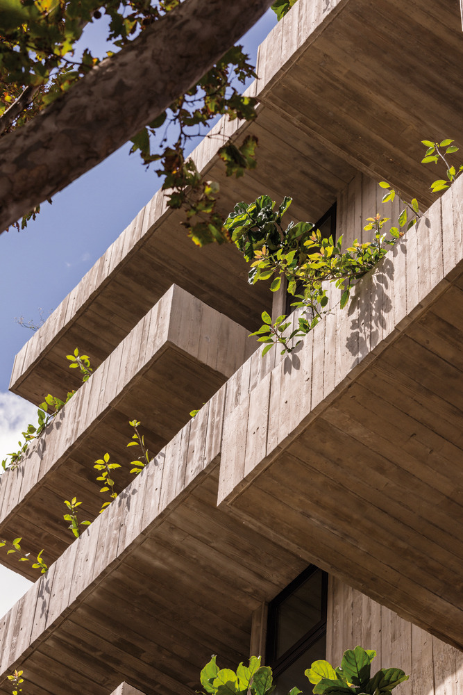 肖特巷伍兹巴戈特-59