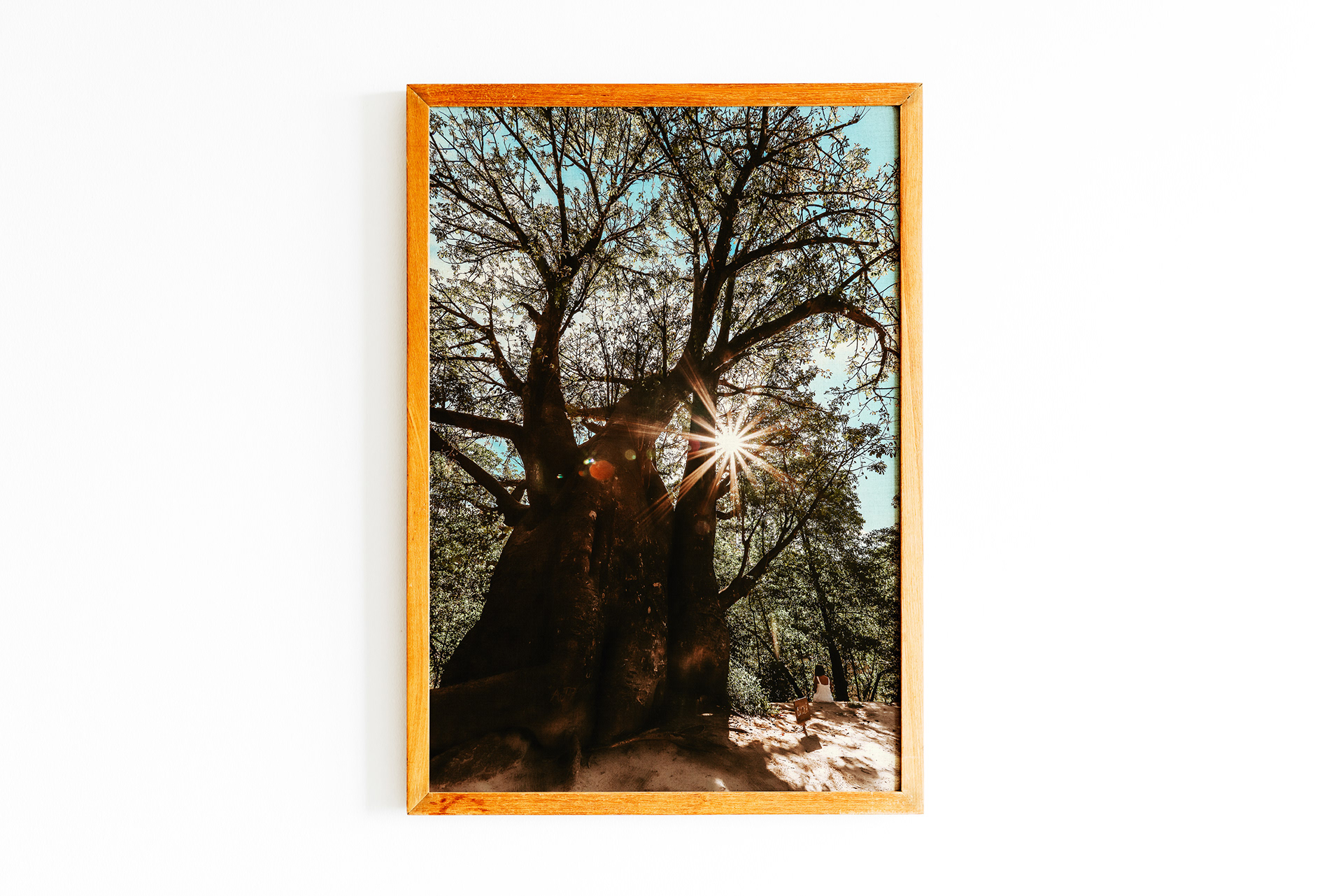 Simulações Quadros-11