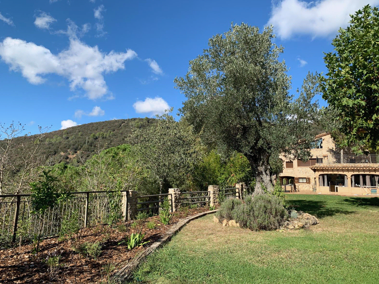 Can Xera（Amer）乡村旅游住宅外部改造及绿化项目-6