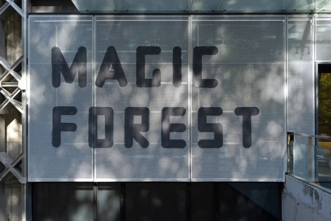 童话般的“Magic Forest”教育空间设计丨秦国鹏,田力伟-3