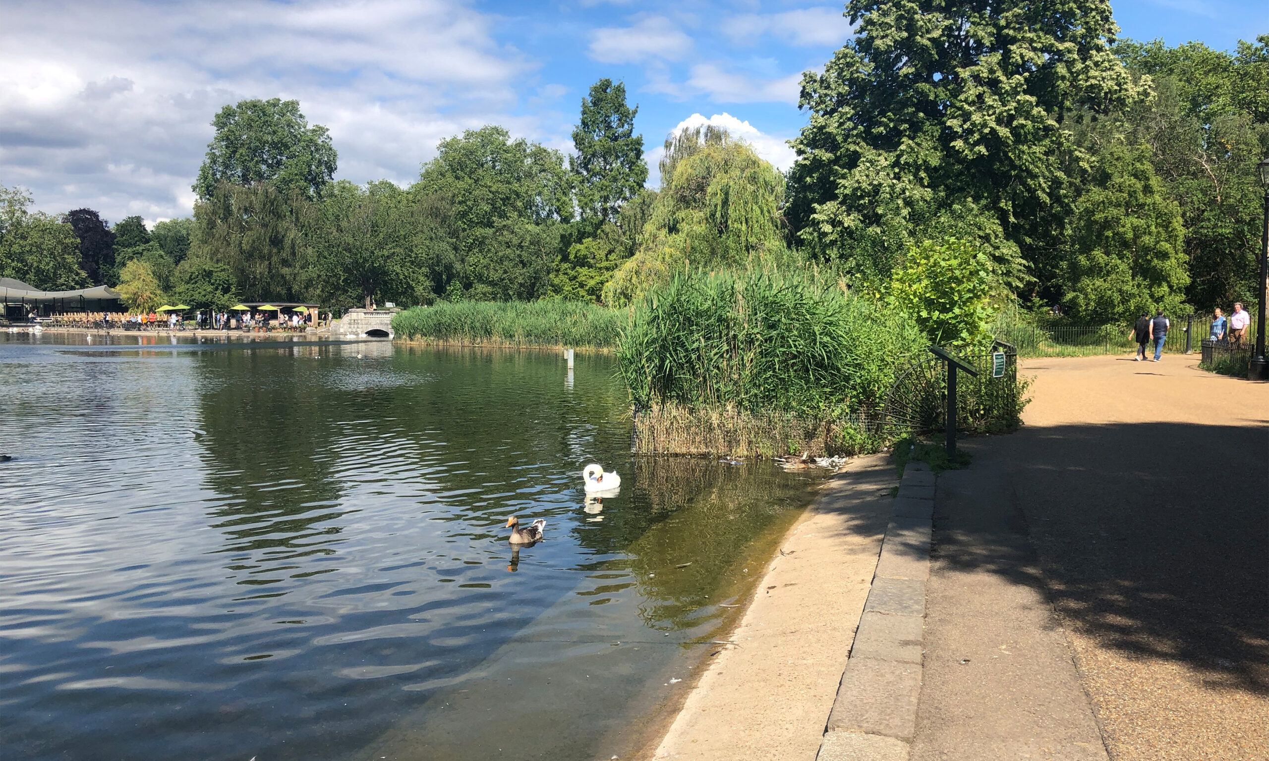 
			 Royal Parks Framework Competition			-2