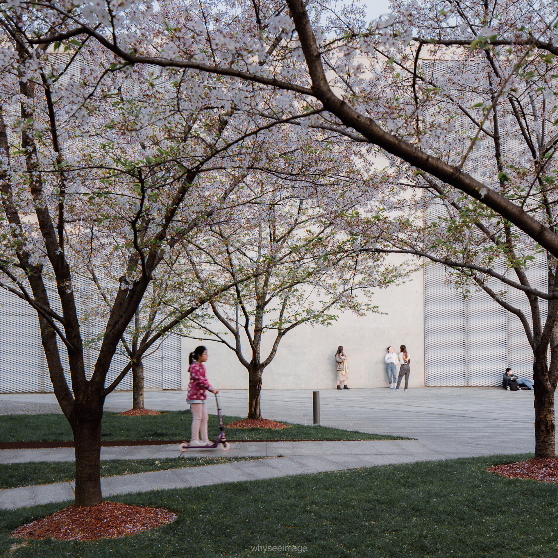 樱花+龙美术馆丨中国上海丨大舍建筑设计工作室-136
