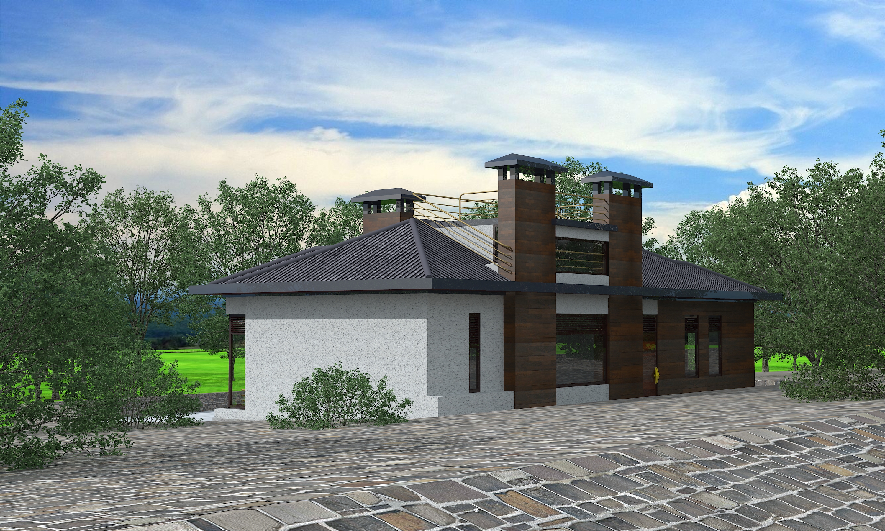 狮子座别墅设计-13