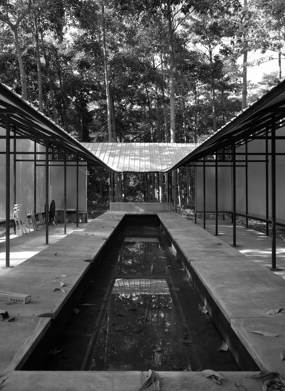 林中亭（2019）-40