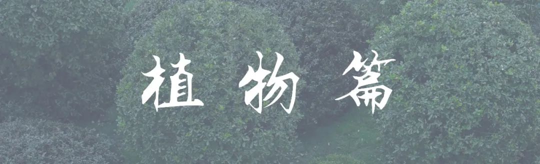 万科·金开悦府锦悦 | 生活“园”来如此-77