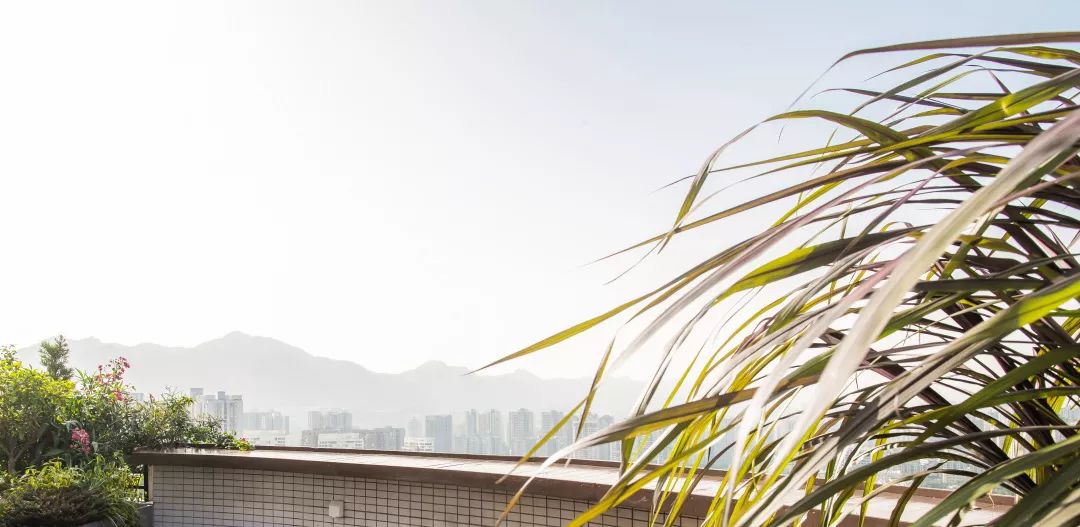 MEETTING CITY | 邂逅城市,和场地自然而然的产生共鸣-27