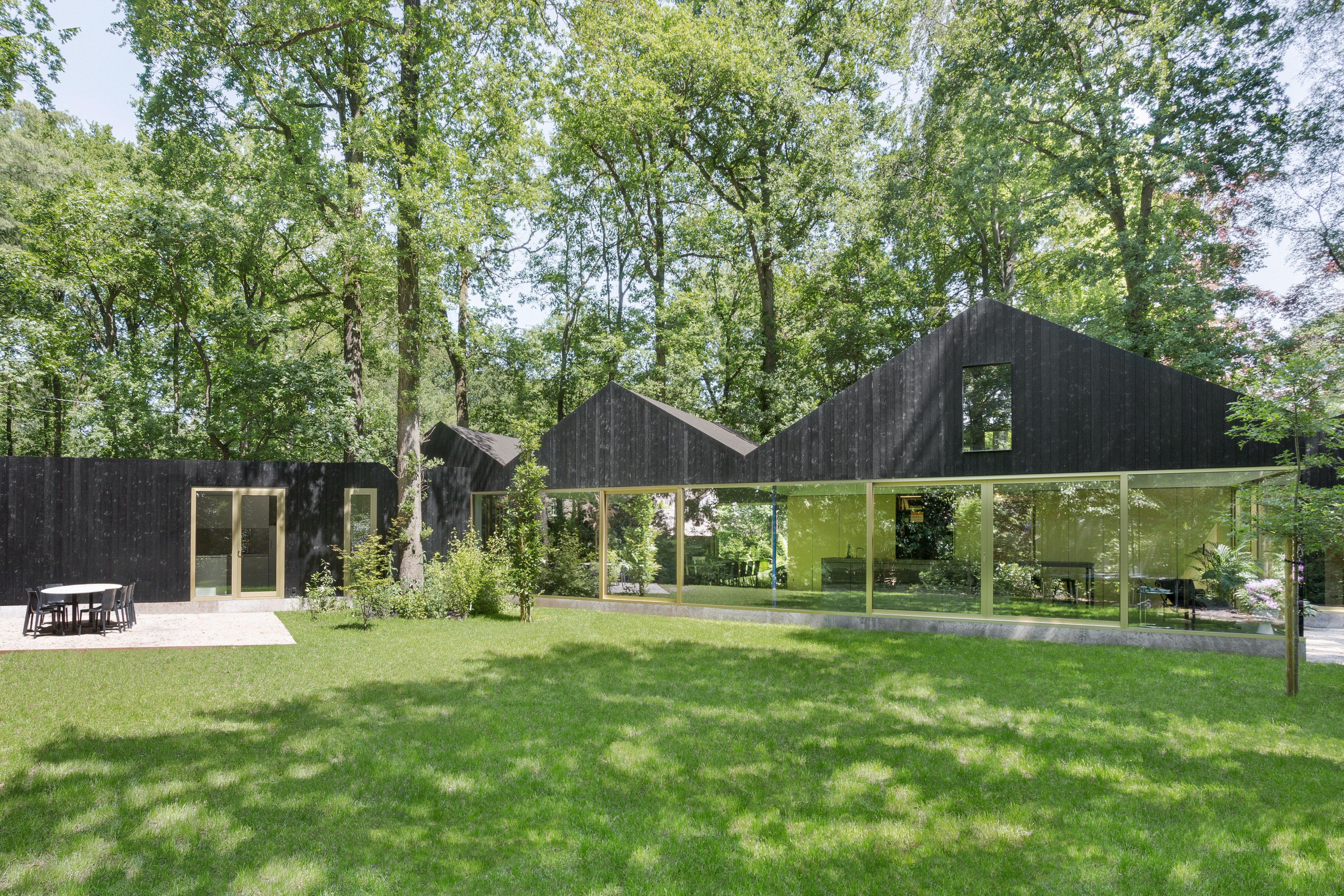 住在树林里丨比利时丨BASIL architecture-14