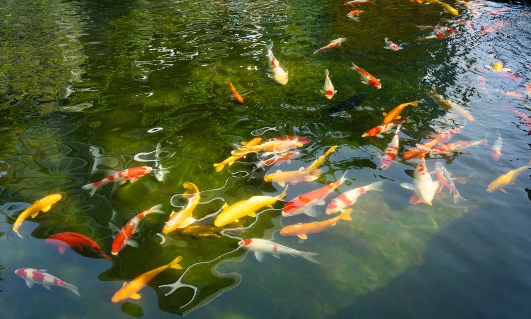 金沙东院大区丨中国商丘丨道合设计-30